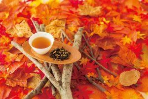 2013-10_09_takibi