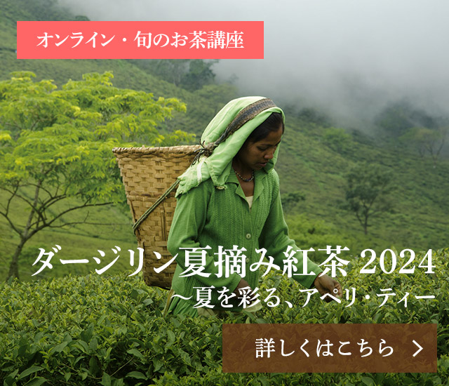 【旬のお茶講座】ダージリン夏摘み紅茶2024～夏を彩る、アペリ・ティー