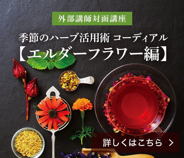 【外部講師対面講座】季節のハーブ活用術 コーディアル 【エルダーフラワー編】