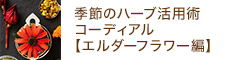 【外部講師対面講座】季節のハーブ活用術 コーディアル 【エルダーフラワー編】
