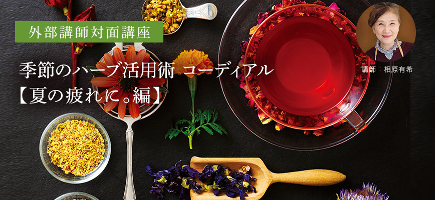 季節のハーブ活用術